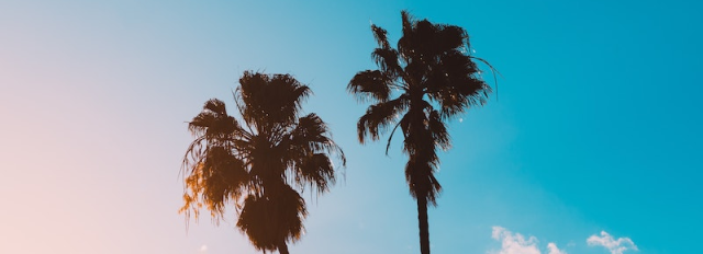 Sommerhit "One More Night" von Lost Frequencies